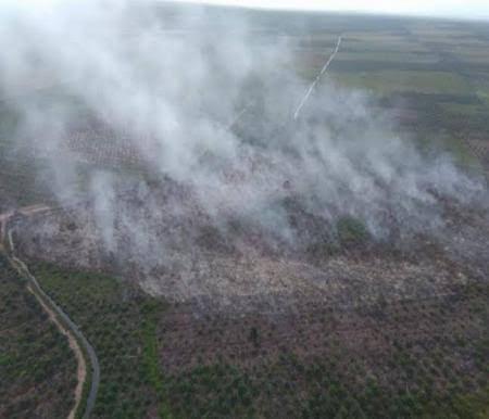 Ilustrasi hotspot masih terdeteksi di Riau (foto/int)